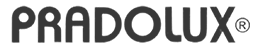 logo11-pesado